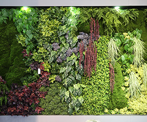 仿真植物墙设计展示